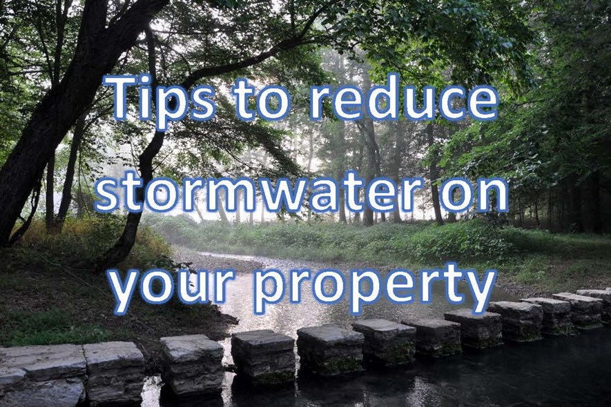 Spring 2024 Stormwater (MS4) Tips