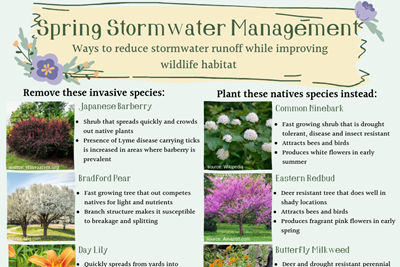 Spring Stormwater Tips