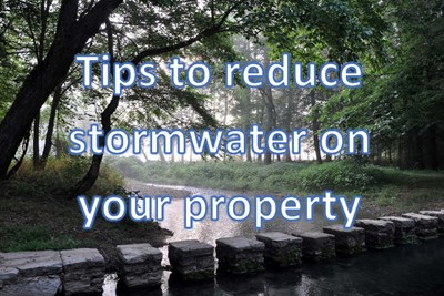 Spring 2026 Stormwater Tips
