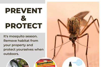 Mosquito Season Helpful Information
