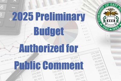 2025 Preliminary Budget